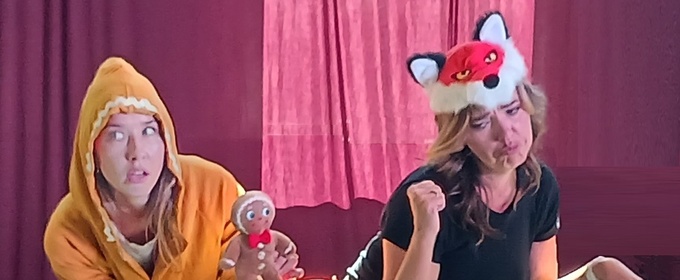 Storytellers Theater Will Present PINOCCHIO For Family Audiences In Auburn