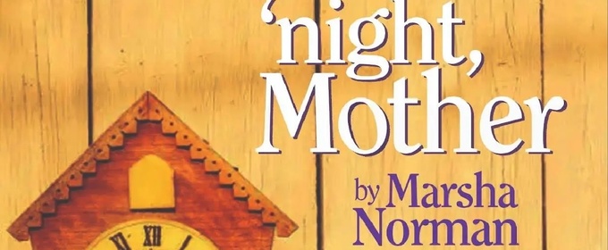 Review: 'NIGHT MOTHER at The Alchemy Theatre