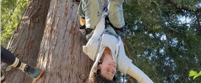 Video: Watch Idina Menzel Climb Trees and Buildings in Preparation for REDWOOD at La Jolla Playhouse