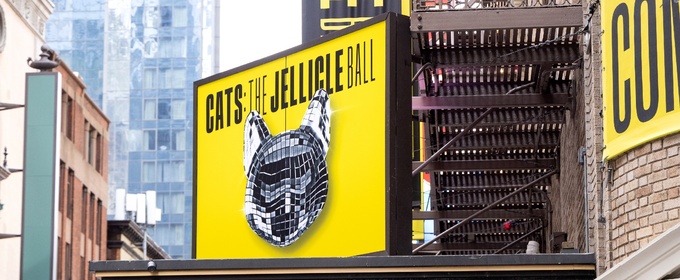 Photos: CATS: THE JELLICLE BALL Arrives at the Broadhurst Theatre