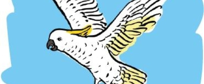 1 HOUR OF INSANE MAGIC to Return to Adelaide Fringe in 2026