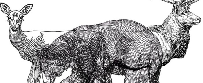 Interview: Francesca DiFrancisco of THE CALL at Shedd Stage