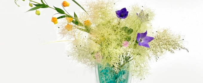 Morikami Museum And Japanese Gardens Unveils April Workshops And Events