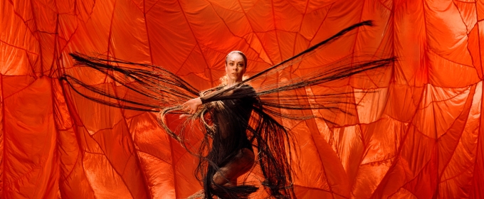 Review: Bangarra Blooms with The Extraordinary Glow Of ILLUME