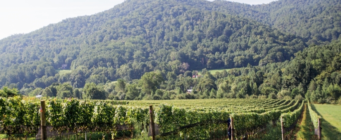 EARLY MOUNTAIN'S QUAKER RUN VINEYARD in Virginia-Exceptional Holiday Wines