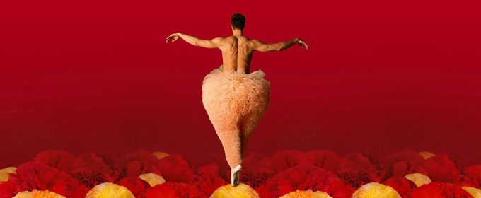 Chicos Mambo's TUTU to Return to the Peacock Theatre