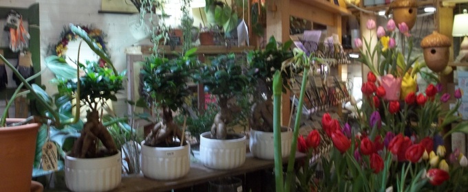 Student Blog: My Offenses Towards Dance Substitutes