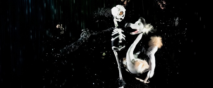Review: DEAD AS A DODO A SPELLBINDING DELIGHT at Studebaker Theater At The Fine Arts Building