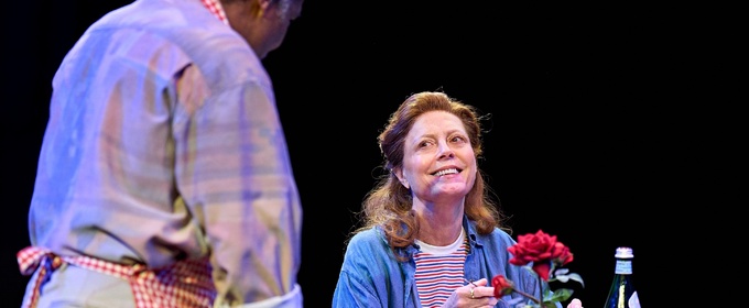 Review: MARY PAGE MARLOWE, Starring Susan Sarandon and Andrea Riseborough