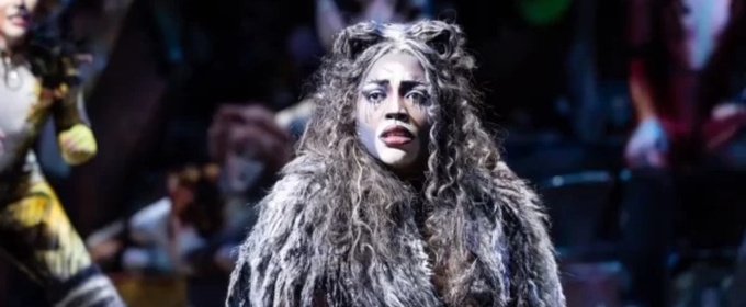 Review: CATS at Her Majesty’s Theatre, Adelaide Festival Centre