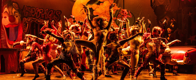 Photos: First Look at CATS THE MUSICAL at CM Performing Arts Center