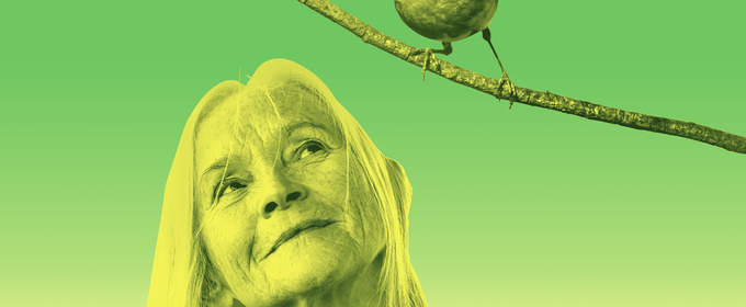 Cast Set For CARE By Alexander Zeldin at The Young Vic