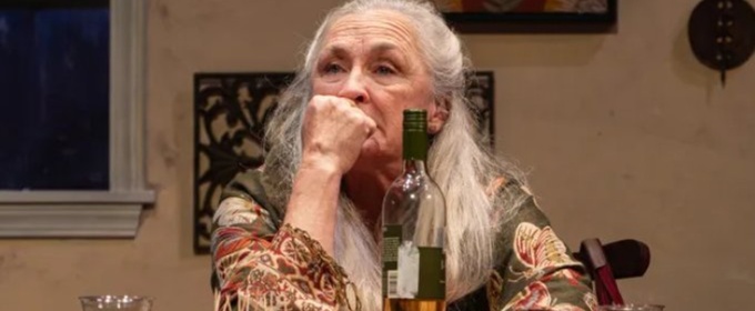 Review: THE WAVERLY GALLERY at Backyard Renaissance