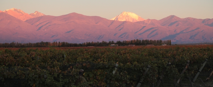 DOMAINE BOUSQUET for Superb Cabernet Wines