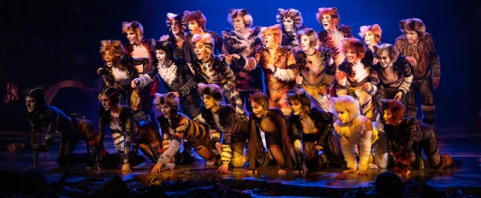 CATS Will Return to South Africa This Year