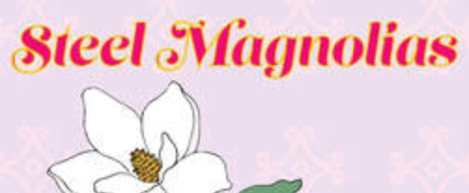 Creative Cauldron Celebrates Theater Grand Opening With STEEL MAGNOLIAS