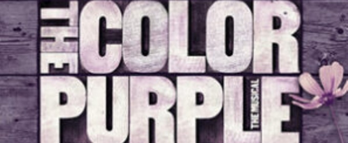 Review: THE COLOR PURPLE by Chromolume Theatre at The Zephyr