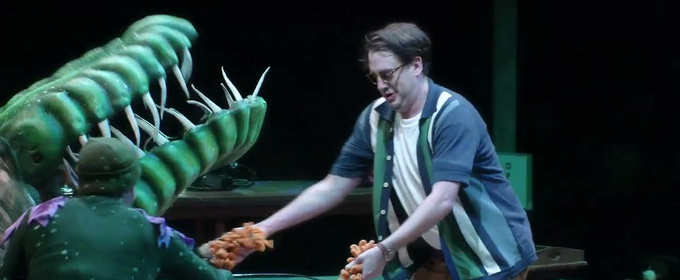 Video: Watch Songs From LITTLE SHOP OF HORRORS at the Marriott Theatre