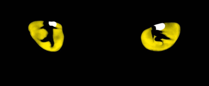 Review: CATS at Landestheater Linz