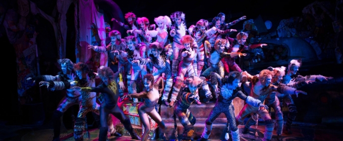 Cats Kommt Als Sommergastspiel 2025 Ins Linzer Musiktheater