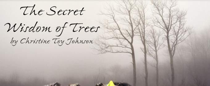 Thirty Saints Productions Announces Licensing Availability For Christine Toy Johnson's THE SECRET WISDOM OF TREES