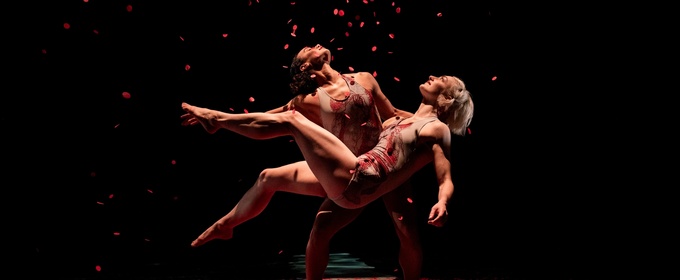 Review: PILOBOLUS: OTHER WORLDS COLLECTION at Strathmore