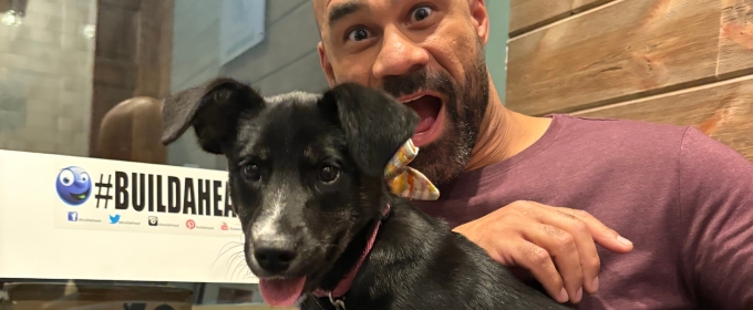 Purple Rose Theatre to Partner With Cascades Humane Society For Adoption Nights