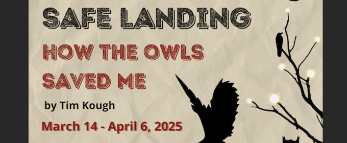 Authentic Chicago Ensemble to Present Inaugural Production, SAFE LANDING: How The Owls Saved Me