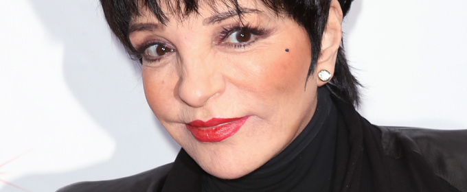Liza Minnelli Partners with ElevenLabs on New AI Music Project