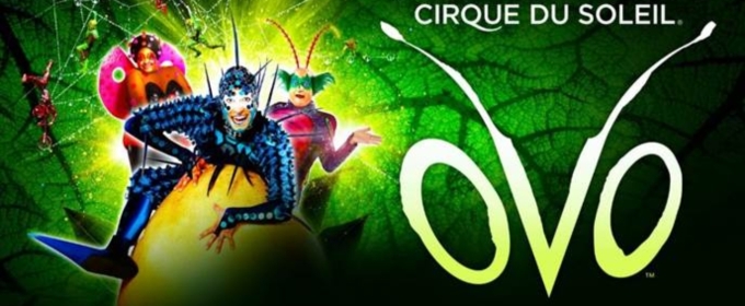 Tickets to Cirque Du Soleil's OVO at Hoffman Estates Now on Sale