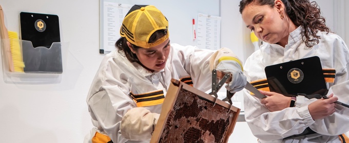 Review: THE APIARY at Urbanite Theatre