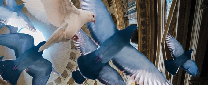 LA CLEMENZA DI TITO Comes to The Vienna State Opera