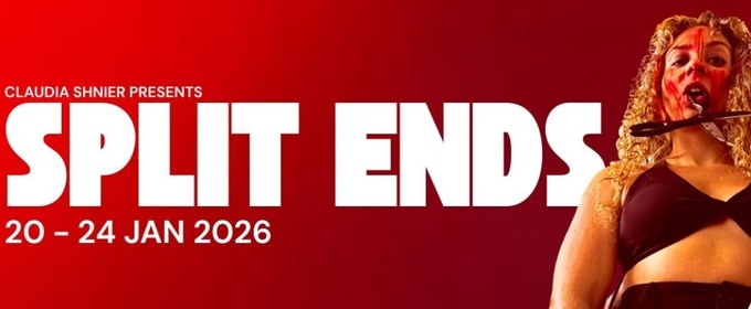 Review: SPLIT ENDS the trauma of obsession, control and loss