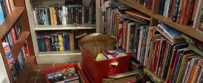 Student Blog: How I've Challenged Myself as a Writer this Fall