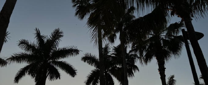 Student Blog: Home for the Holidays: The Importance of Recharging