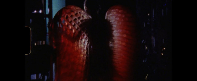 Video: New York City Ballet Reflects on Fall Season With Latest Super8 Mixtape