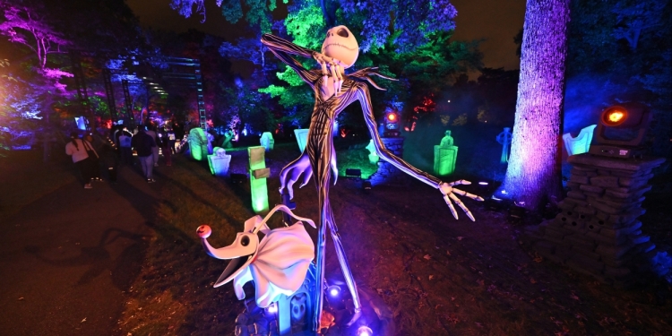 Photos: Inside THE NIGHTMARE BEFORE CHRISTMAS Light Trail at the New York Botanical Garden Photo