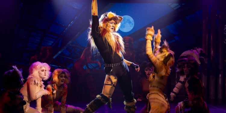 Suncoast Broadway Dinner Theatre Presents Andrew Lloyd Webber's CATS