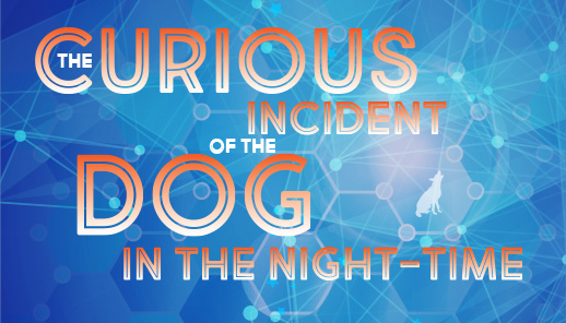 Manoa Valley Theatre Presents THE CURIOUS INCIDENT OF THE DOG IN THE NIGHT-TIME 