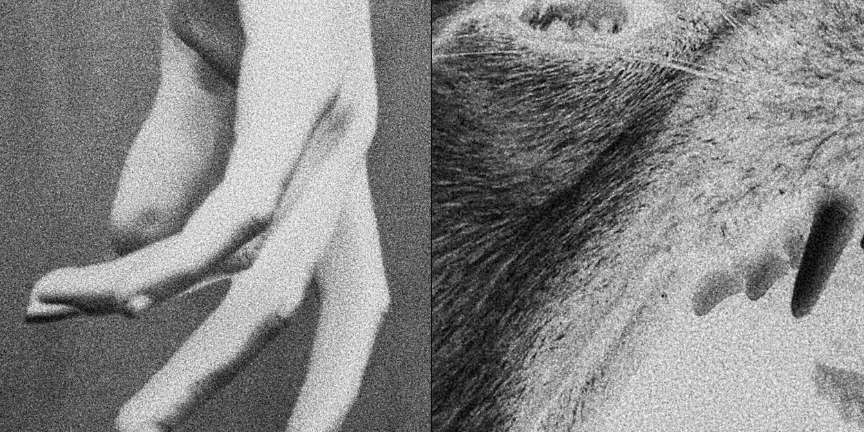 A BODY POSSESSED Comes to Underground Theatre