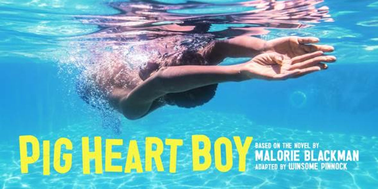 Adapation Of PIG HEART BOY Comes To The Unicorn Theatre This February  Image