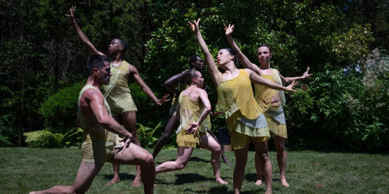 Amanda Selwyn Dance Theatre Will Host Green Afternoon XI  Image