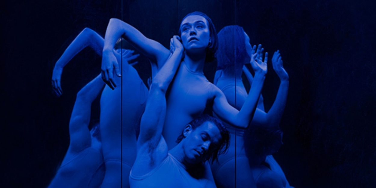 Australasian Dance Collective's BLUE Celebrates 40 Years Photo