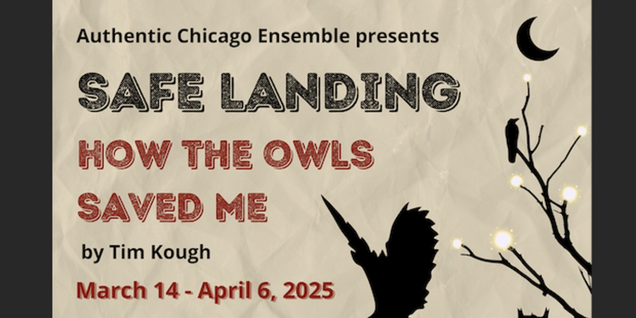 Authentic Chicago Ensemble to Present Inaugural Production, SAFE LANDING: How The Owls Saved Me  Image