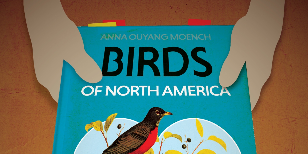 BIRDS OF NORTH AMERICA Comes to Theatre B in 2025  Image