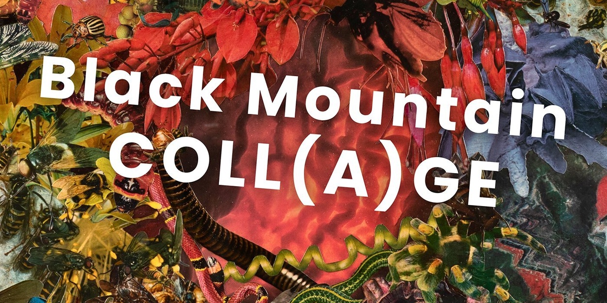 BLACK MOUNTAIN COLL(A)GE Exhibition Set For May