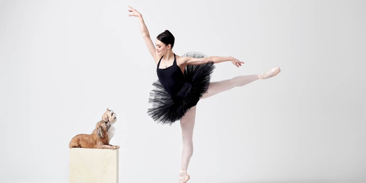 Dance For Paws To Host GRACE TO THE RESCUE Inaugural Gala To Benefit Homeless Animals 