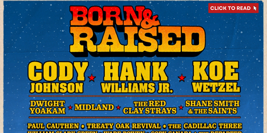 Hank Williams Jr Concert Experience 2025