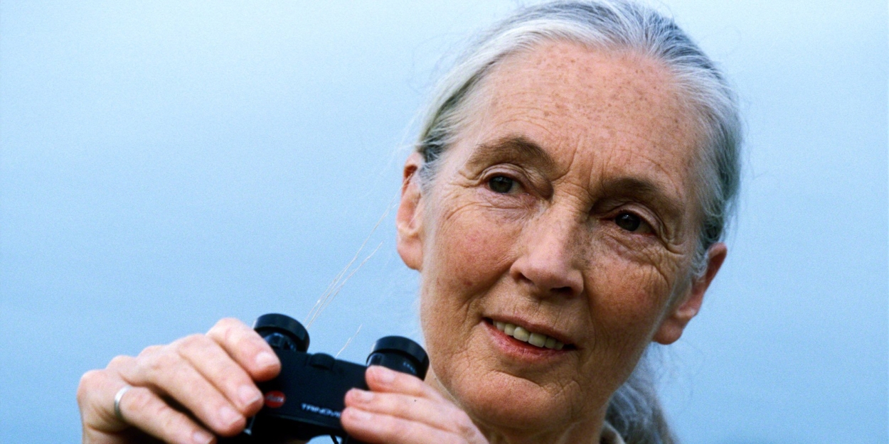 BroadwaySF to Welcome Conservationist Icon Jane Goodall for Exclusive Event  Image