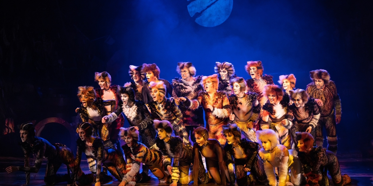 CATS  The Musical Comes to South Africa Photo